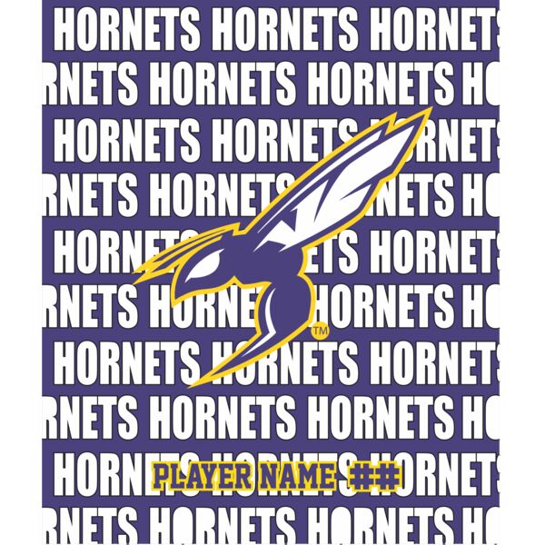 Champro F-B1(3) MicroFleece Blanket Thumbnail