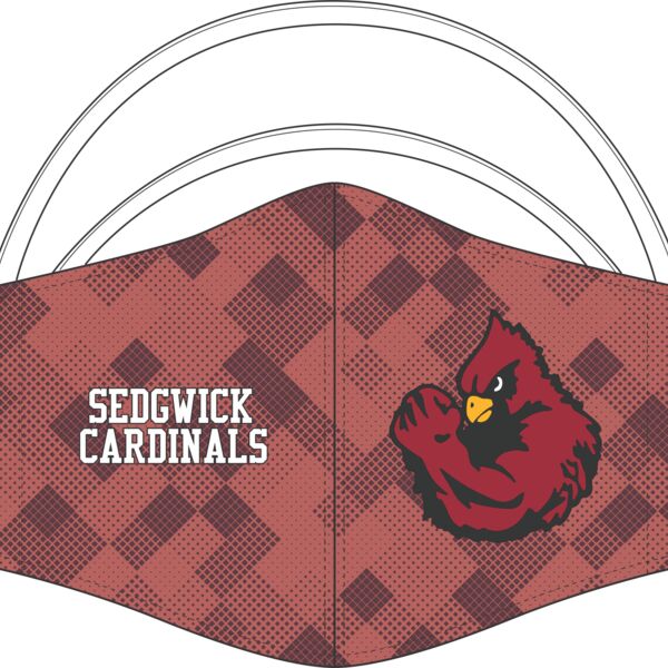 Champro SGFM Youth Sublimated Face Mask Thumbnail