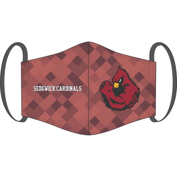 Champro SGFME Adult Sublimated Face Mask Thumbnail